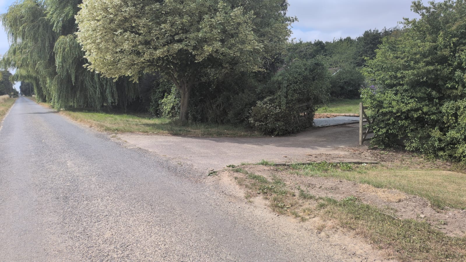The gravel entrance to Paws in the Pines, marked by a large willow tree on the left and a wooden gate on the right, just off the country lane.